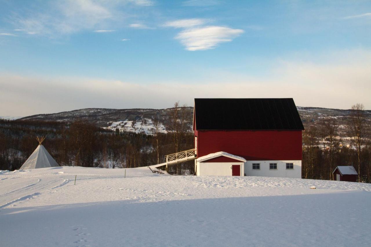 Aurora Borealis Observatory Silsand Luaran gambar