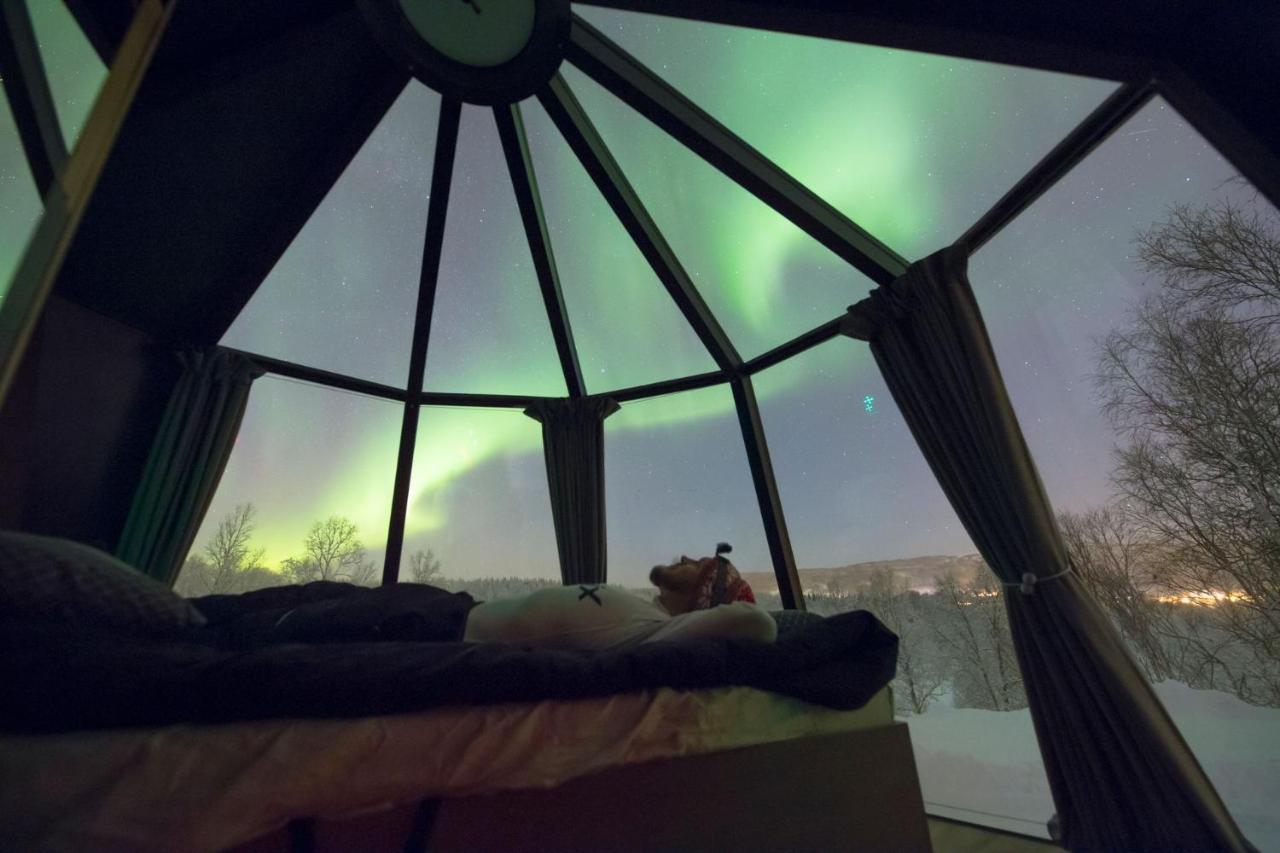 Aurora Borealis Observatory Silsand Luaran gambar