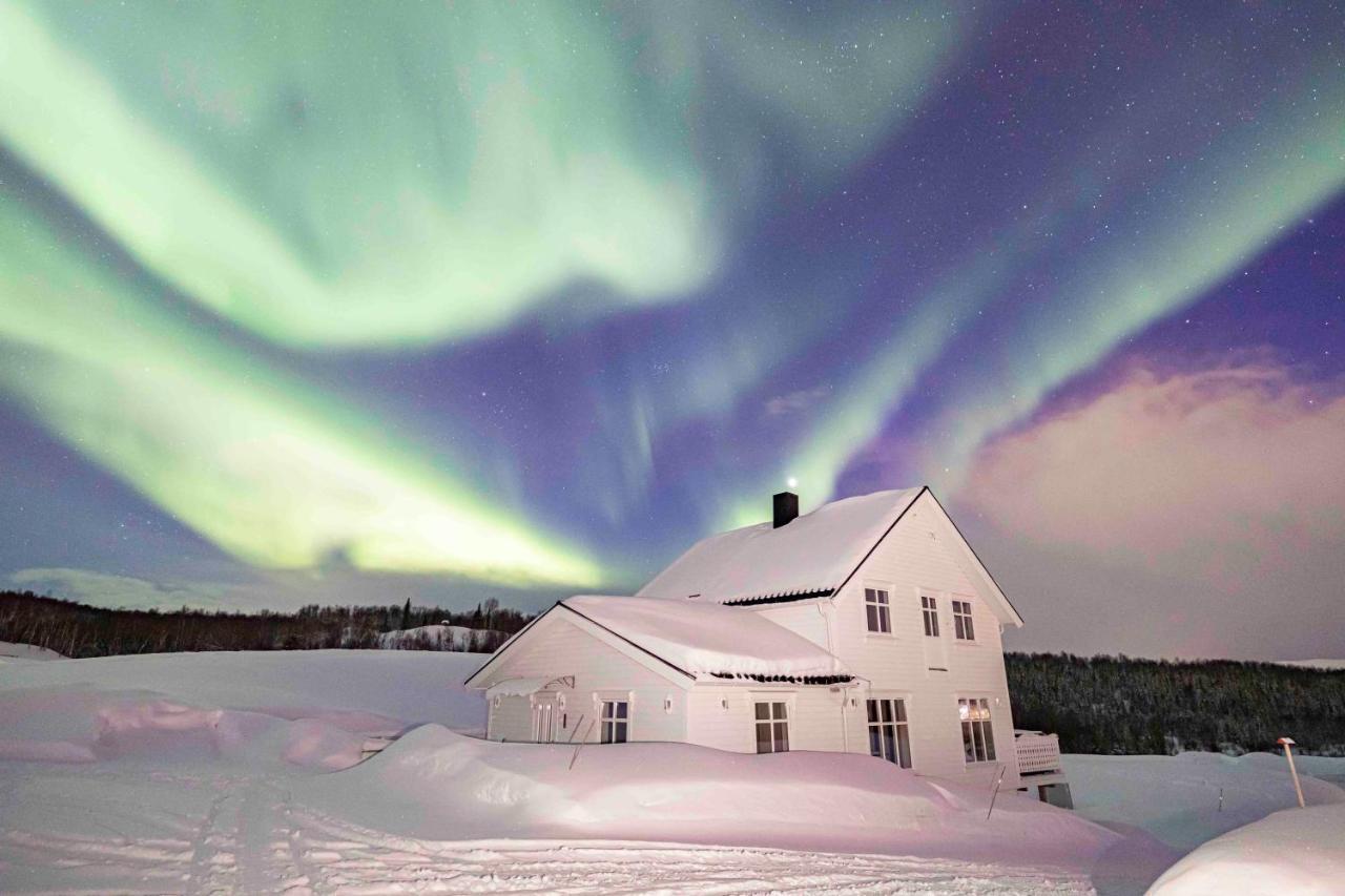 Aurora Borealis Observatory Silsand Luaran gambar