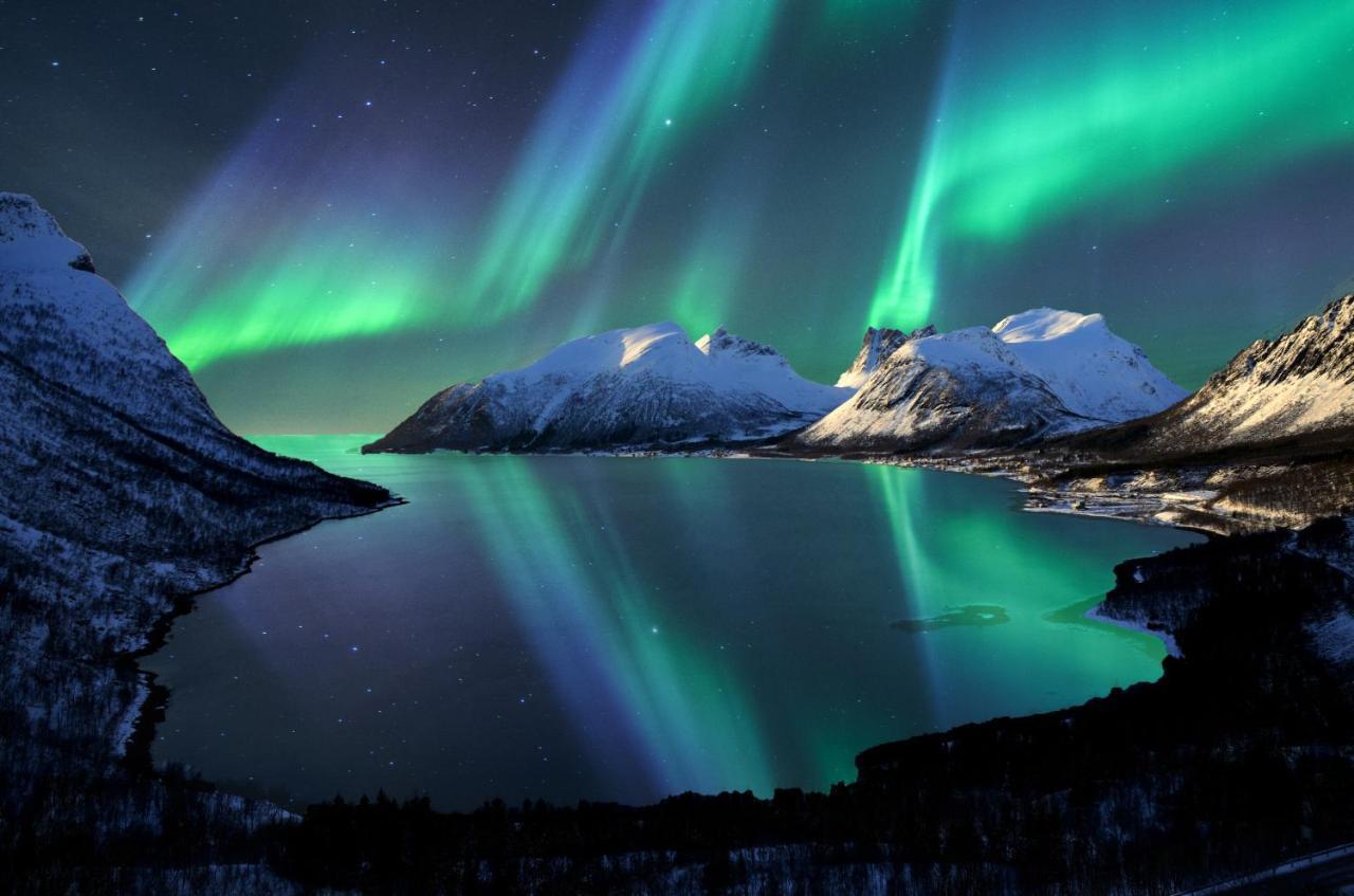 Aurora Borealis Observatory Silsand Luaran gambar