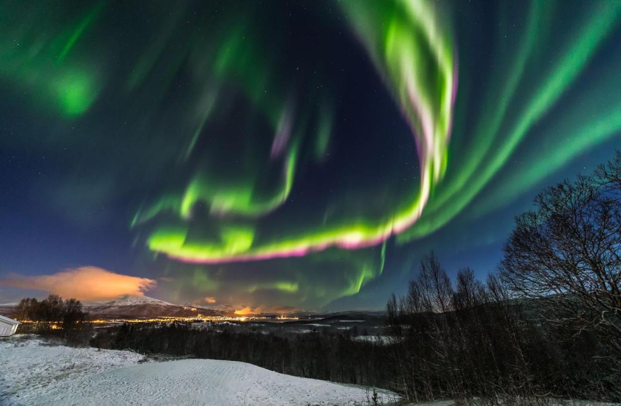 Aurora Borealis Observatory Silsand Luaran gambar