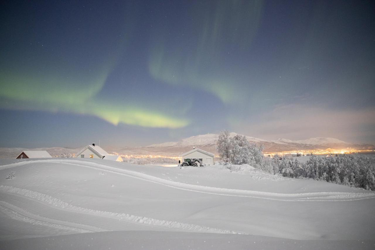 Aurora Borealis Observatory Silsand Luaran gambar